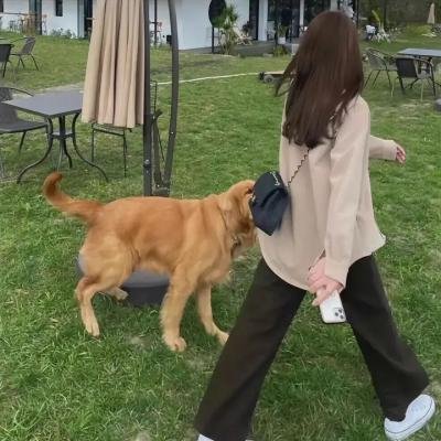 机械女仆·玛丽